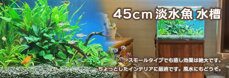 45cm 小型淡水魚水槽レンタル